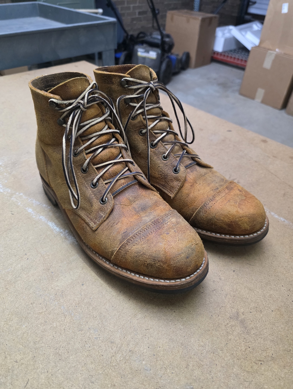 Truman Boot Co. Coach Rambler 12d 79 Last